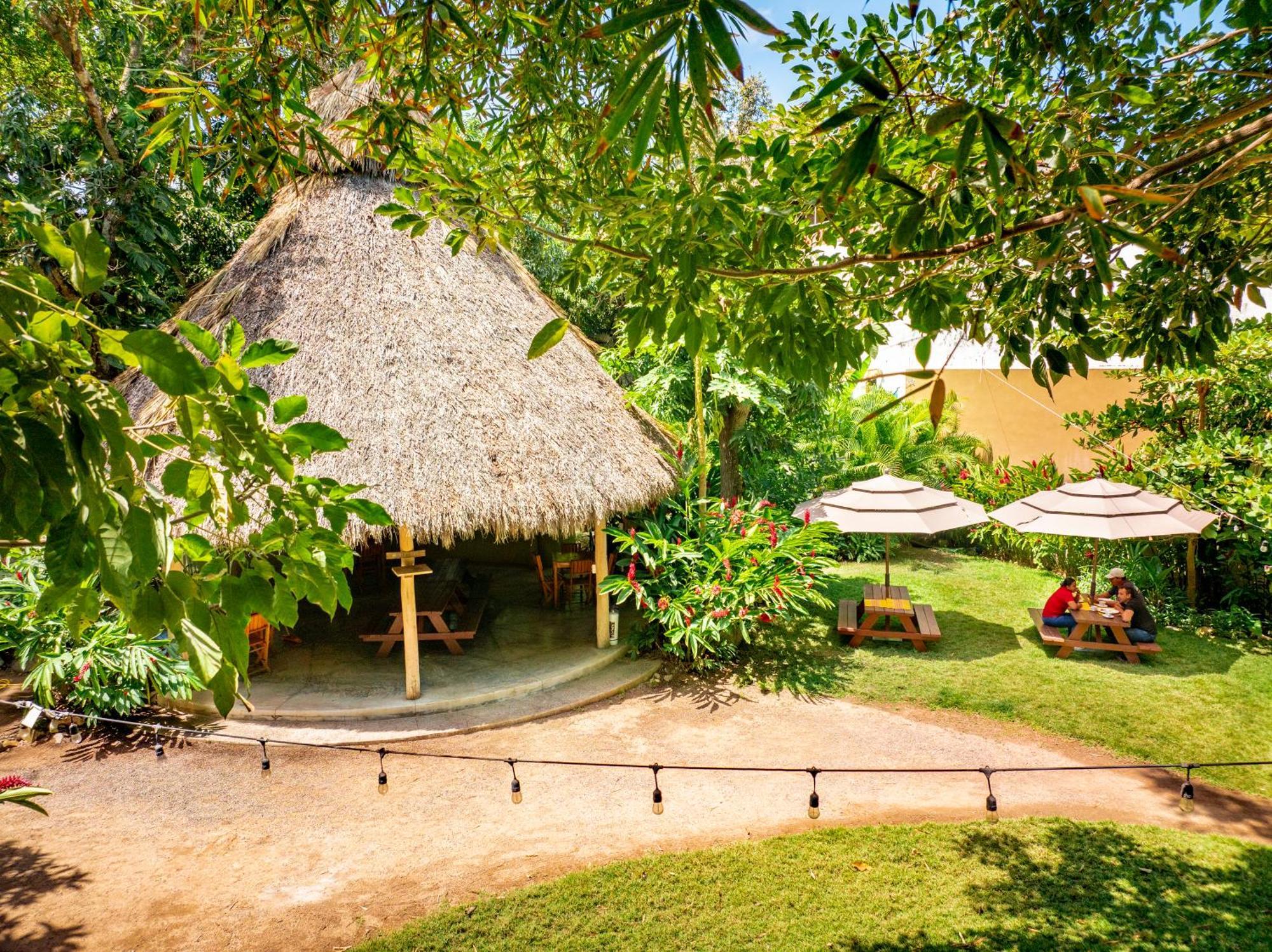 Hotel Villas Sayulita Eksteriør billede