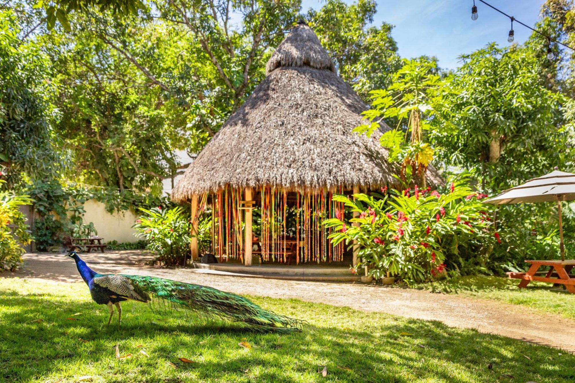 Hotel Villas Sayulita Eksteriør billede
